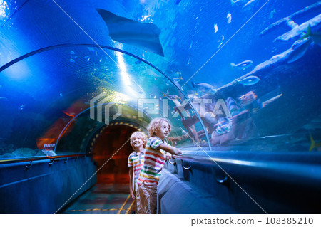 Family in aquarium. Kids watch fish, marine life 108385210