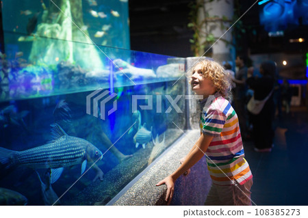 Family in aquarium. Kids watch fish, marine life 108385273
