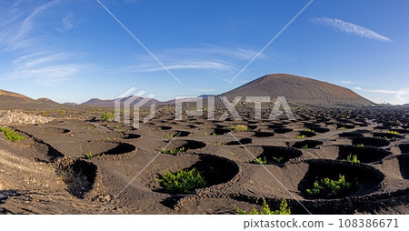 Panoramic view over barren volcanic Timanfaya National Park on Lanzarote with vines Panoramic view over barren volcanic Timanfaya National Park on Lanzarote with vines 108386671