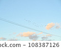 Twilight sky and flock of birds in soft autumn colors 108387126