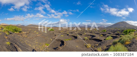 Panoramic view over the barren volcanic Timanfaya National Park on Lanzarote 108387184