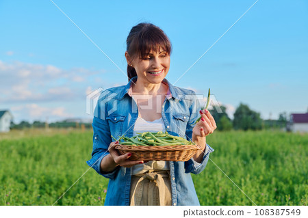 Smiling woman with basket of green asparagus beans in vegetable garden, on farm Smiling woman with basket of green asparagus beans in vegetable garden, on farm 108387549