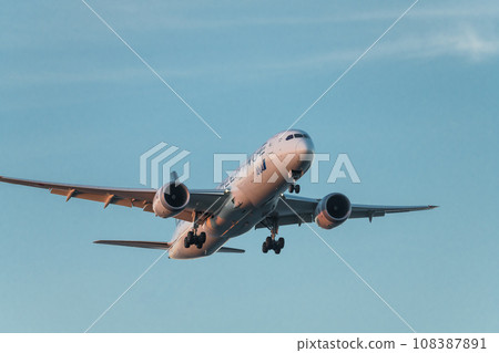 [ANA aircraft Star Alliance in preparation for landing from the sky above Jonanjima Seaside Park at sunset] 108387891