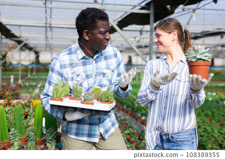 Man and woman holding box with cactus in greenhouse Man and woman holding box with cactus in greenhouse 108389355