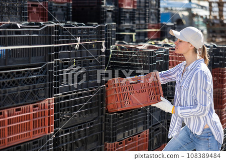 Woman stacking empty plastic boxes at backyard of small farm Woman stacking empty plastic boxes at backyard of small farm 108389484
