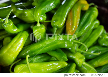 Pile of green bell peppers in vegetable shop 108389548