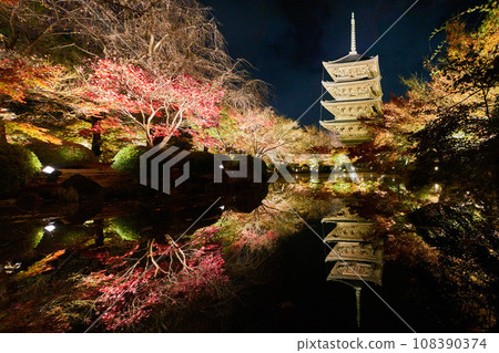 東寺寺秋葉 108390374