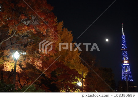 札幌大通：秋夜四季色彩加深 108390699