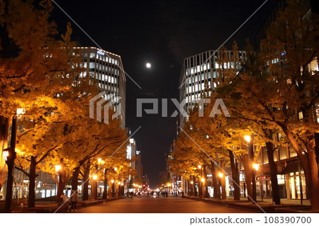 Odori, Sapporo: The colors of the four seasons deepen on an autumn night Odori, Sapporo: The colors of the four seasons deepen on an autumn night 108390700