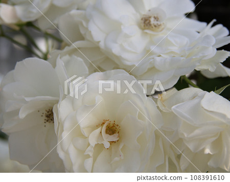 冰山阿蘇牛奶工廠 熊本縣阿蘇市花麻美小里 108391610