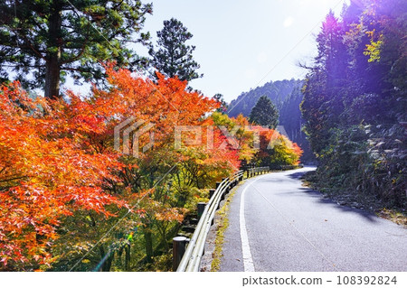 Oiidaira公園秋葉 Oiidaira公園秋葉 108392824