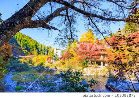 Autumn leaves of Oiidaira Park 108392872
