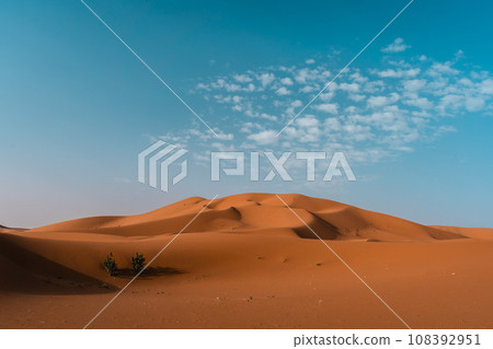 摩洛哥撒哈拉沙漠的早晨景色 108392951