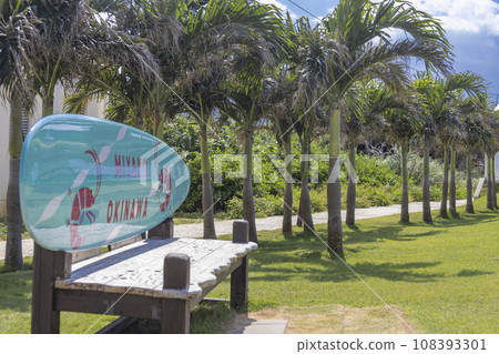 Scenery of Miyakojima, Okinawa (beautiful palm trees) Scenery of Miyakojima, Okinawa (beautiful palm trees) 108393301