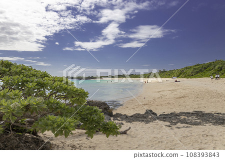 Miyakojima Toguchi Beach (from Blue Turtle) 108393843