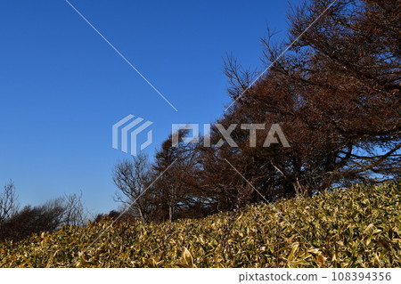 Harutori Park Winter 108394356