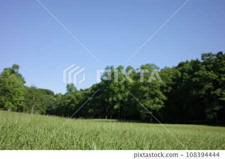 藍天和綠草 藍天和綠草 108394444