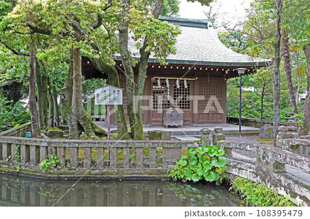三島大社(三島) 三島大社(三島) 108395479