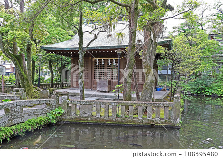 三島大社(三島) 三島大社(三島) 108395480