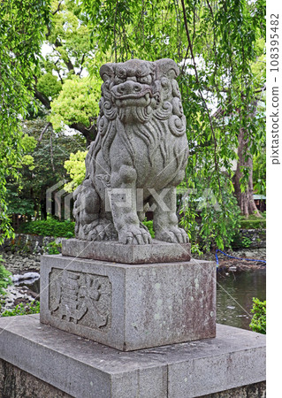 三島大社(三島) 三島大社(三島) 108395482