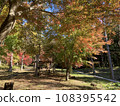 Brightly colored autumn leaves in the mountain village 108395542