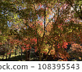 Brightly colored autumn leaves in the mountain village 108395543