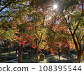 Brightly colored autumn leaves in the mountain village 108395544
