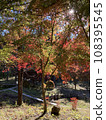 Brightly colored autumn leaves in the mountain village 108395545