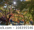 Brightly colored autumn leaves in the mountain village 108395546
