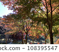 Brightly colored autumn leaves in the mountain village 108395547