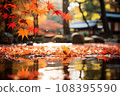 Autumn leaves floating on the surface of the water 108395590