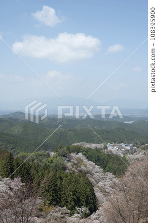 吉野山的春天的天空（奈良縣吉野町） 108395900