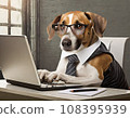 Business dog operating a computer 108395939