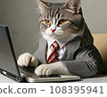 Business cat operating a computer 108395941