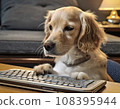 Business dog operating a computer 108395944