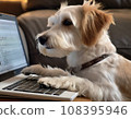 Business dog operating a computer 108395946