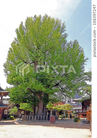 飛驒國分寺(高山) 飛驒國分寺(高山) 108397247