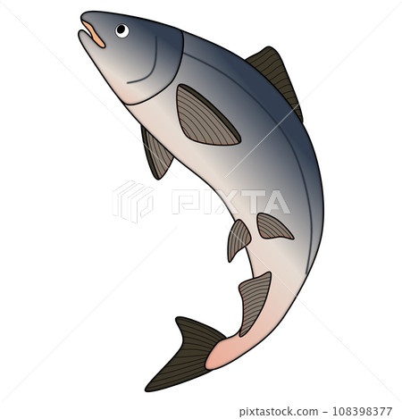 流行可愛的鮭魚插畫 108398377