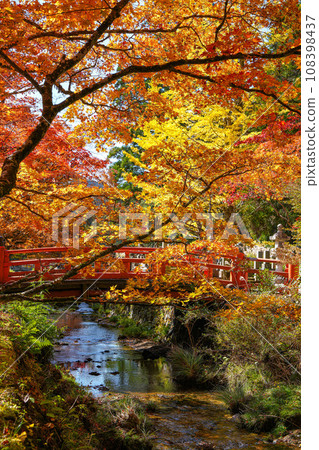 Koyasan Okunoin Autumn leaves Koyasan Okunoin Autumn leaves 108398437