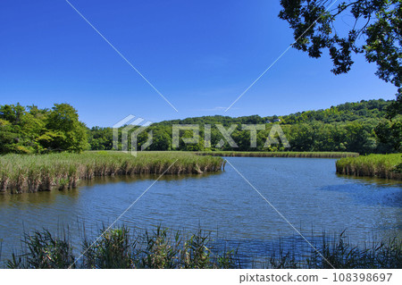 [Shizuoka Prefecture] Izu/Lake Ippeki Numaike 108398697