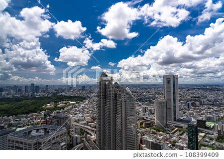 << Tokyo >> Tokyo cityscape in the summer sky 108399409