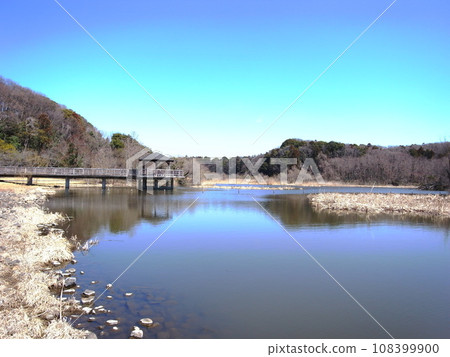 21世紀森林廣場的千堀池塘與森林風景早春 21世紀森林廣場的千堀池塘與森林風景早春 108399900