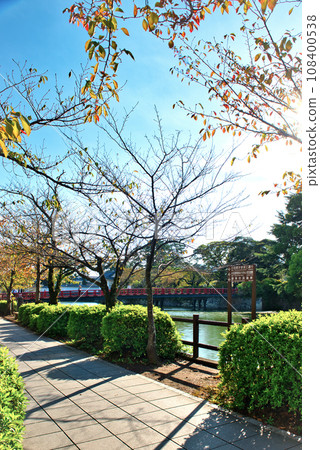 小田原城橋的紅色美景 小田原城橋的紅色美景 108400538