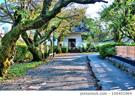小田原城二之丸東堀角倉風景 小田原城二之丸東堀角倉風景 108401064