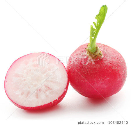 Fresh small radish 108402340