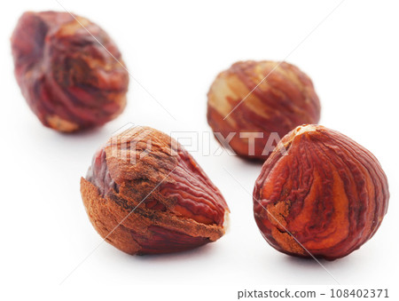 Hazelnut 108402371