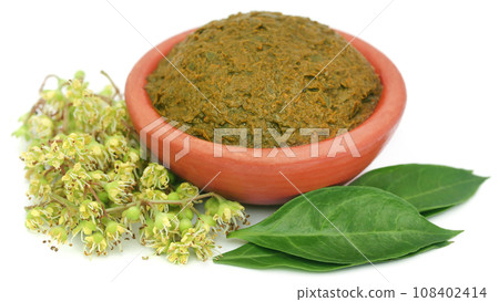Ayurvedic henna leaves 108402414