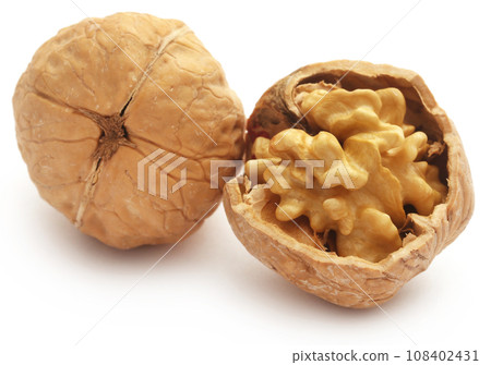 Walnut Walnut 108402431