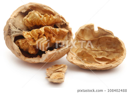 Walnut 108402488