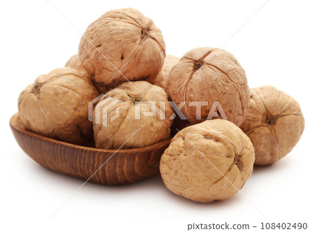 Walnut Walnut 108402490